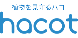 hacot